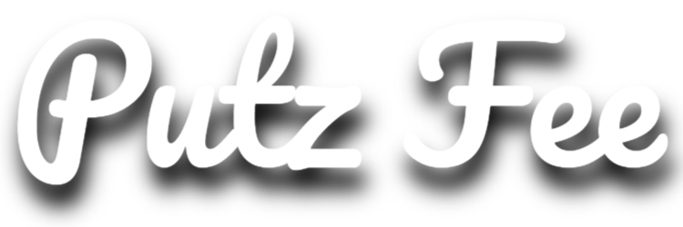 Putzfee21